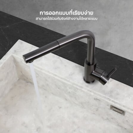 ก๊อกซิงค์สำหรับอ่างล้างจาน EVE LEXI GUNMETAL EP สเตนเลส 30 ซม. สีดำเงา_6